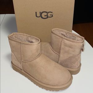 Auth Nib Ugg Classic Mini Ii Boot Fawn 